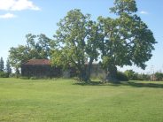 Bicentenario_Mercedes