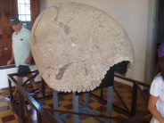 Bicentenario_Mercedes