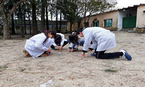 Escolares jugando
