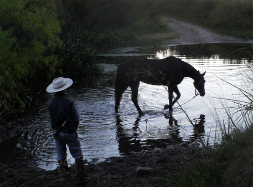 Gaucho y caballo en el río