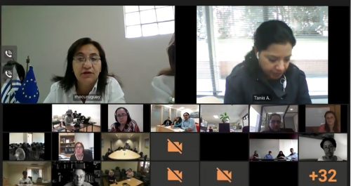 Participantes de la videoconferencia