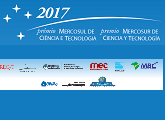 Folleto Premio Mercosur