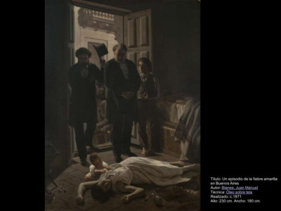 fiebre amarilla fiebre amarilla