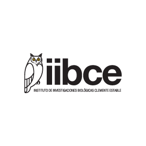 Logo IIBCE