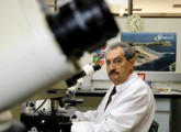 laboratorio