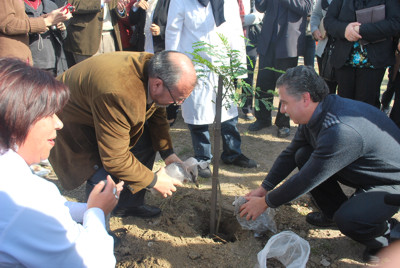 Gómez y Seoane plantando