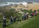 Cabo Polonio