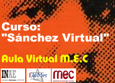 curso_virtual