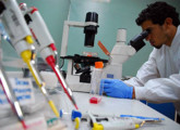 Investigador