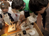 Educación en ciencias
