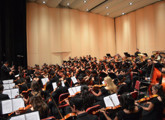 Gestión cultural