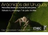 Arácnidos del Uruguay