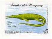 reptil marino del P&eacute;rmico