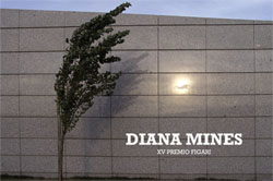 Diana Mines