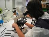 Imagen laboratorio