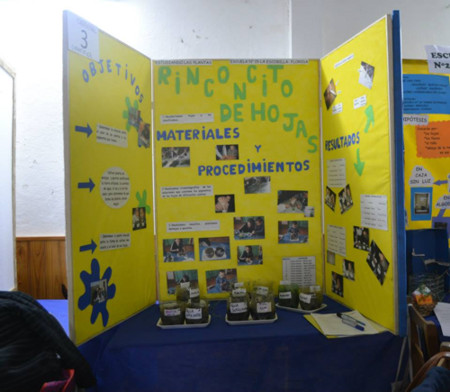 Club de ciencias Rinconcito de hojas