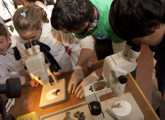 Clubes de Ciencia