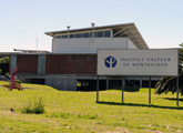 Instituto Pasteur