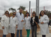 Docentes