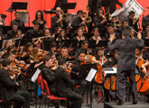Concierto de Año Nuevo