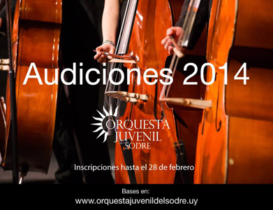 Audiciones 2014