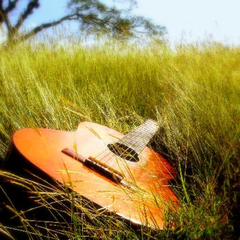 guitarra en el cesped