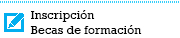 Becas de formación 2014