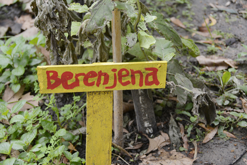 Huertas Comunitarias de Montevideo