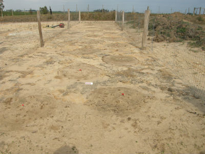 Huellas dinosaurios