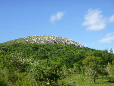 Cerro de los Burros