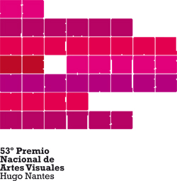 53&deg; Premio Nacional de Artes Visuales (2008)