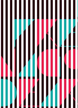 54&deg; Premio Nacional de Artes Visuales (2010)