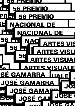 56&deg; Premio Nacional de Artes Visuales (2014)