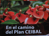 tapa de libro