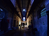 Urbano en los museos - Espacio de Arte Contemporáneo