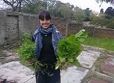 Jóven con plantas en las manos