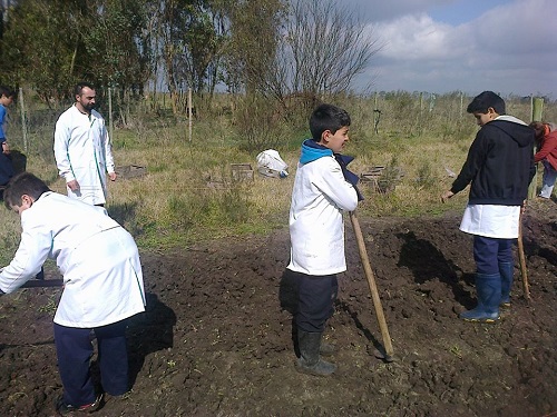 Niños y docente de la Escuela labrando la tierra para la huerta