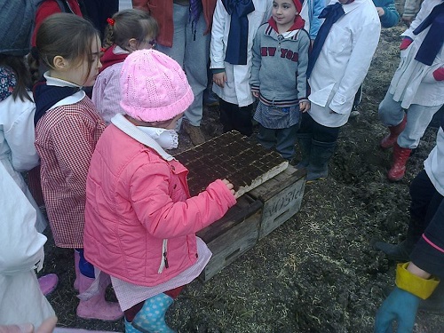 Niños haciendo almácigos de hortalizas