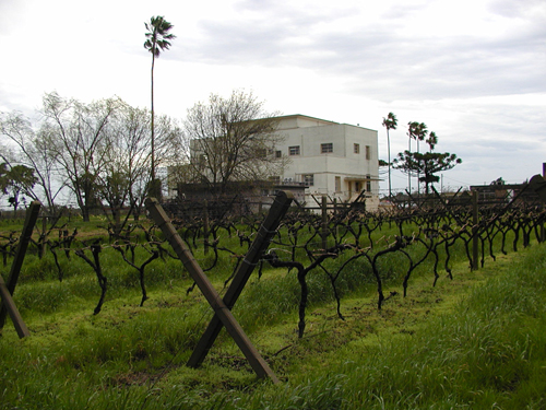 Utu vitivinicultura