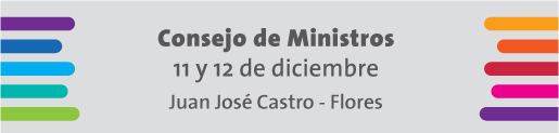 Consejo de Ministros, 11 y 12 de diciembre, Juan José Castro - Flores